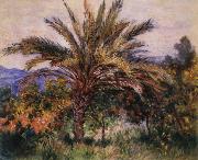 Claude Monet A Palm Tree at Bordighera oil painting on canvas